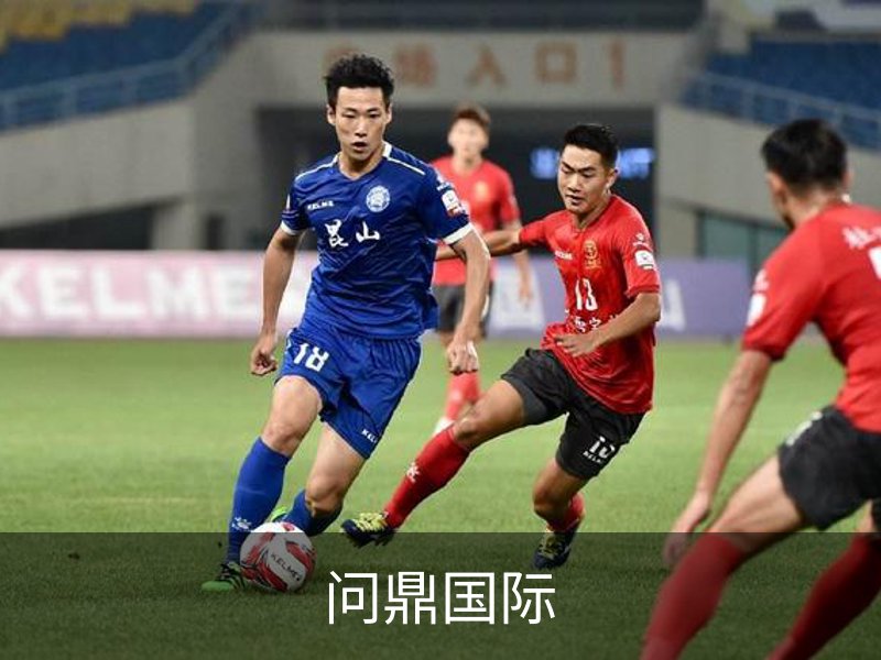 问鼎国际简介